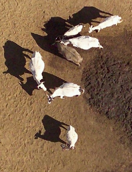 Vu de haut