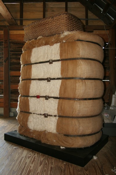 Balle de coton